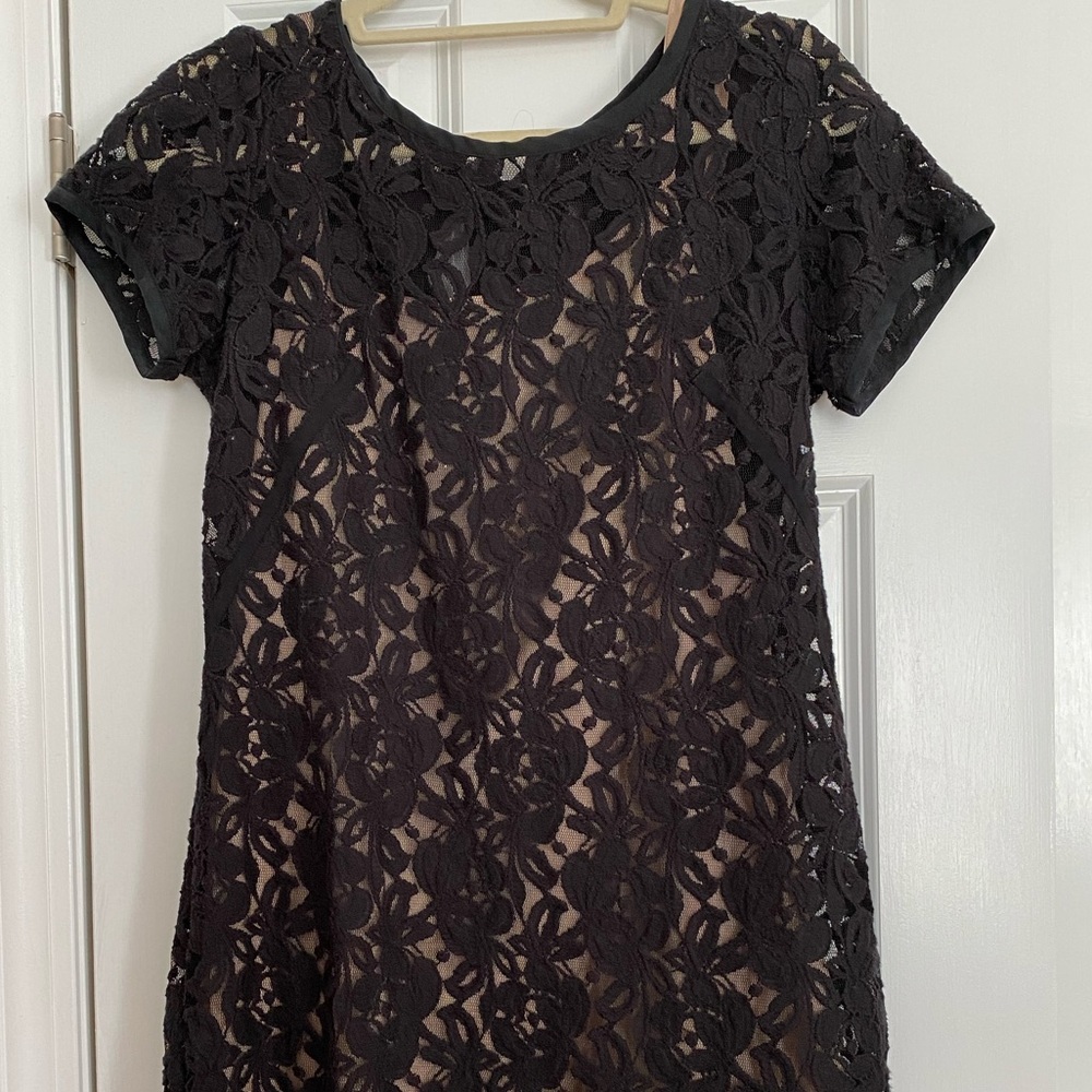 Loft lace dress
